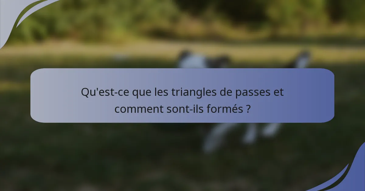 Qu'est-ce que les triangles de passes et comment sont-ils formés ?